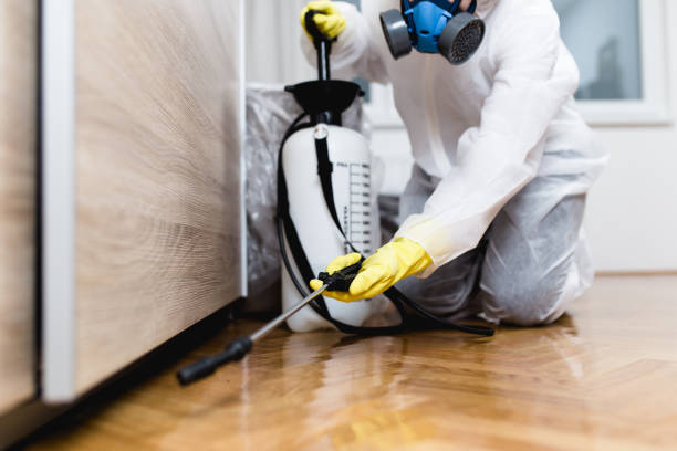 Best Affordable Pest Control Services  in Hebron, KY