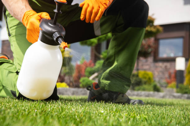 Best Cockroach Control Services  in Hebron, KY