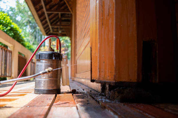 Best Ant Control Services  in Hebron, KY
