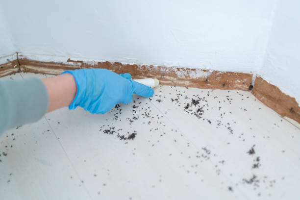 Pest Control Cost in Hebron, KY