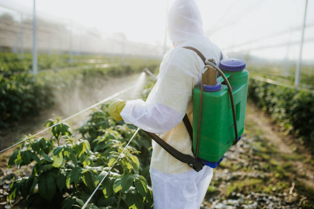 Best Pest Control Near Me  in Hebron, KY